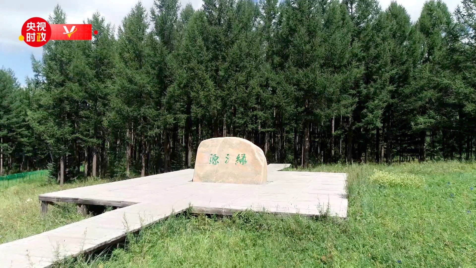 时政现场评丨跟随总书记的脚步 到塞罕坝看树看人看精神