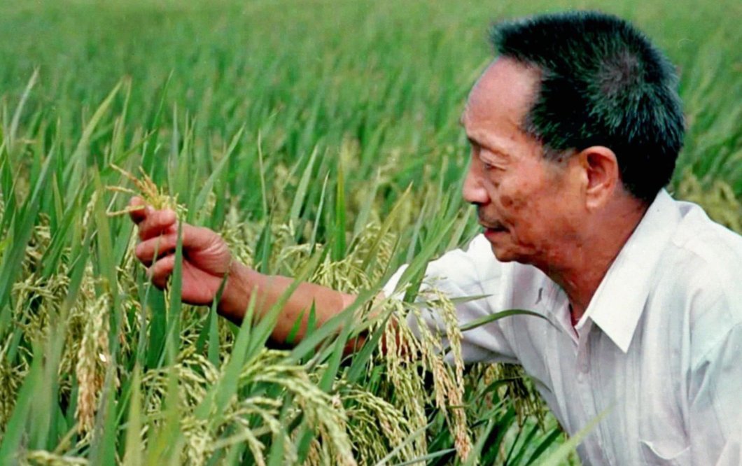 禾下留梦追忆袁隆平与海南的那些不解之缘