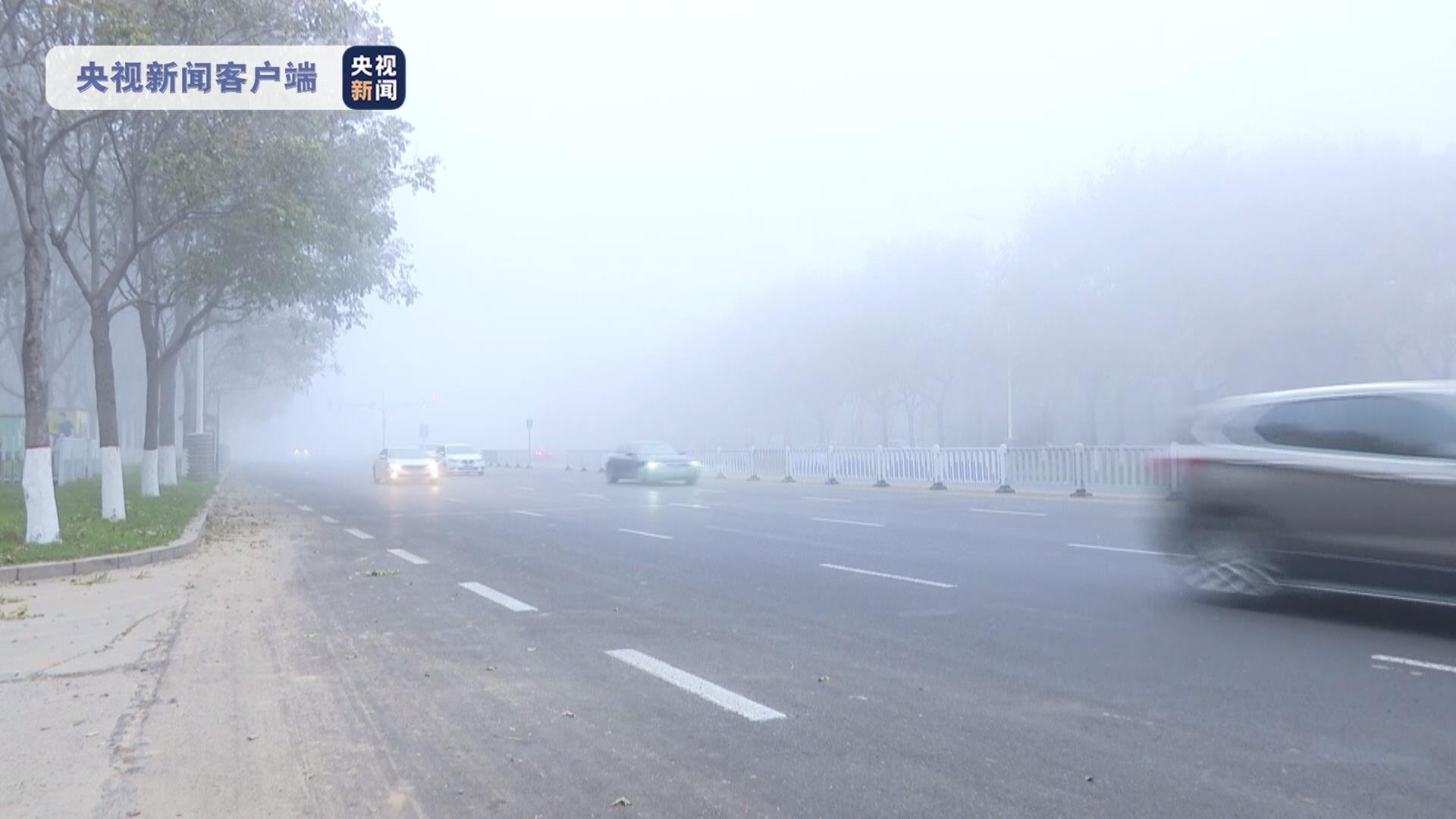 受大霧天氣影響山東多條高速公路臨時封閉