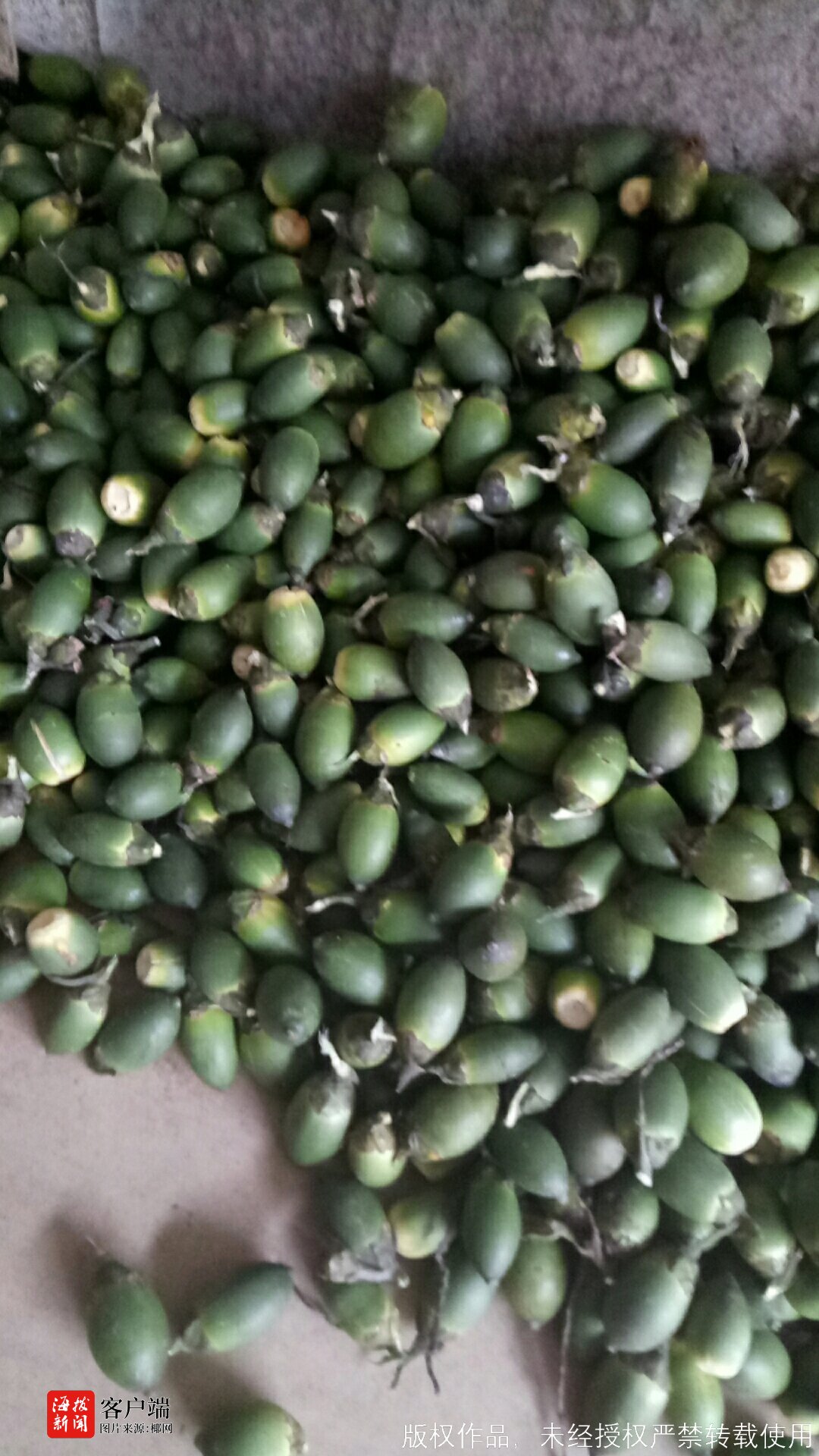 老总槟榔_槟榔口腔癌图片