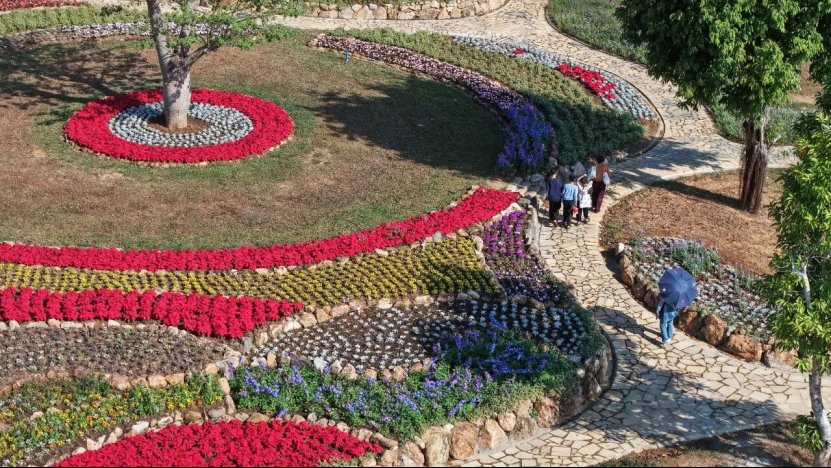 来儋州欢欢喜喜过大年！儋州2026年春节文旅活动精彩纷呈(图12)