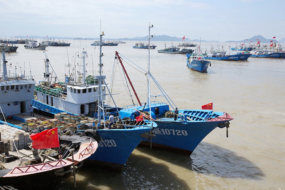 看温州洞头解锁海岛渔村"共富密码"