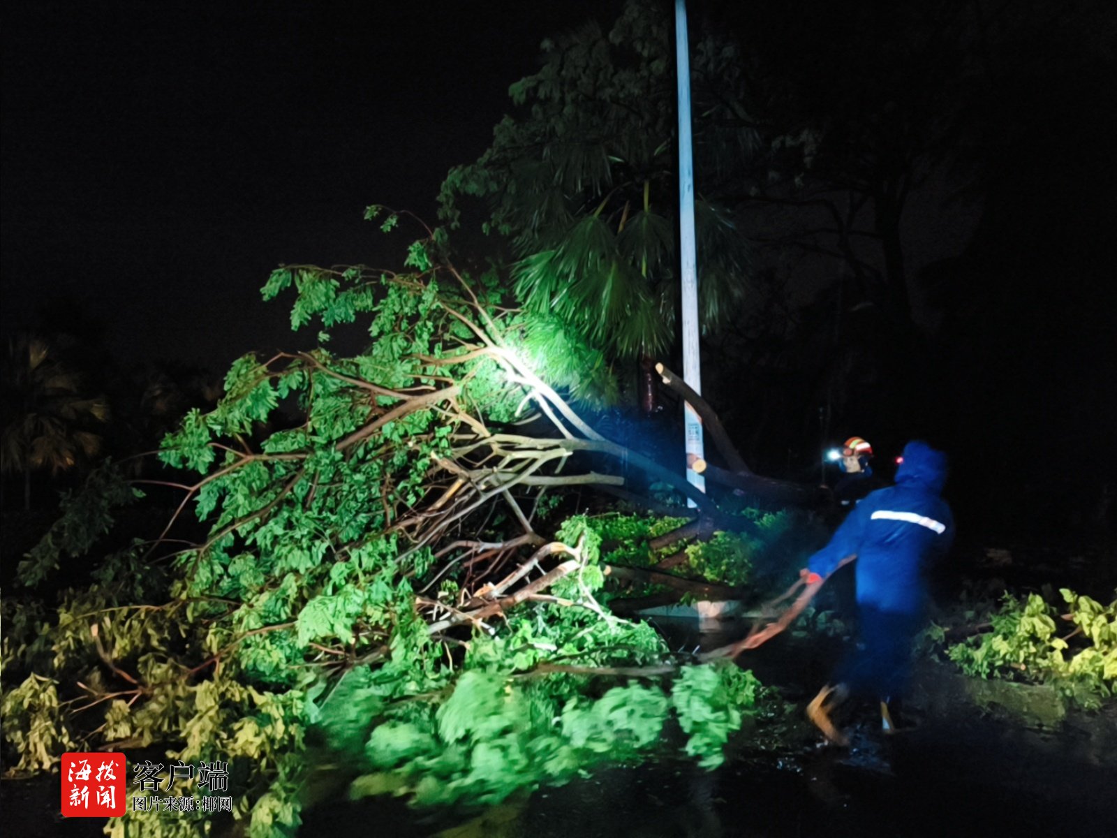 台风导致树木倒地道路受阻三亚消防连夜清障37公里