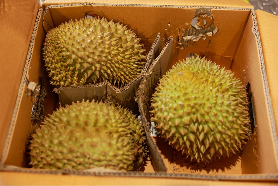 泰国榴莲“鲜”达自贸港！海口美兰机场进境水果指定监管场地首单业务落地