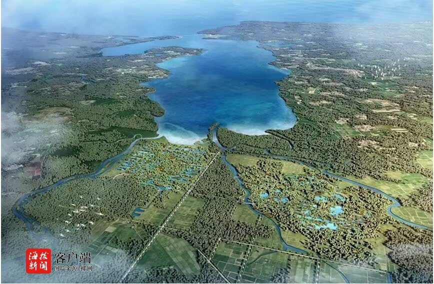 “海上森林”面积扩大！海南东寨港（三江湾）生态修复项目将开工