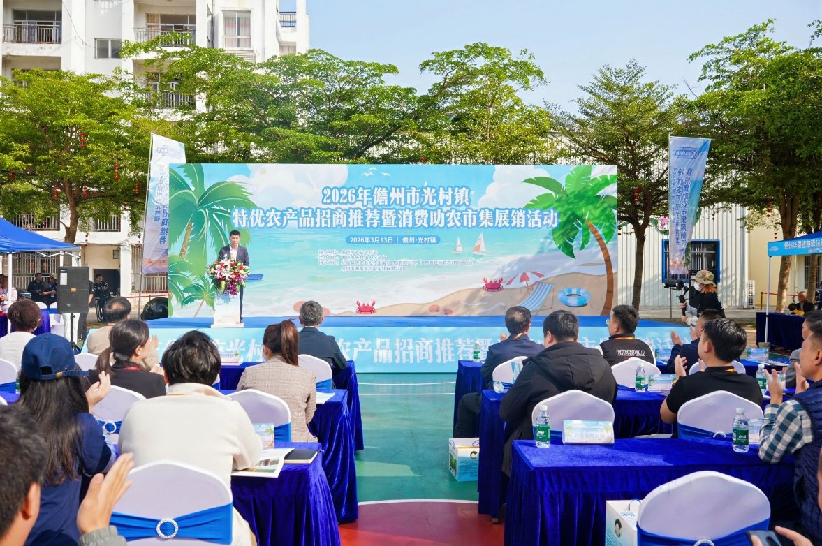 2026年儋州市光村镇特优农产品招商推荐暨消费助农市集展销活动举行(图1)