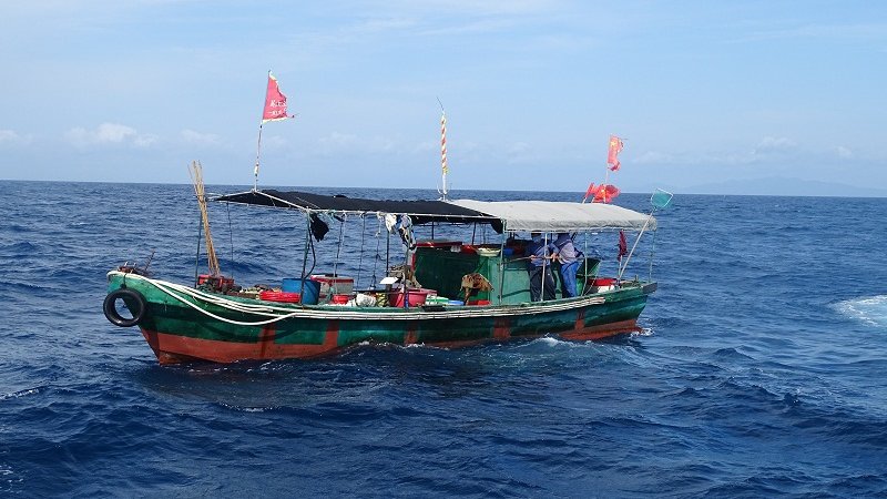伏季休渔期顶风作案严打