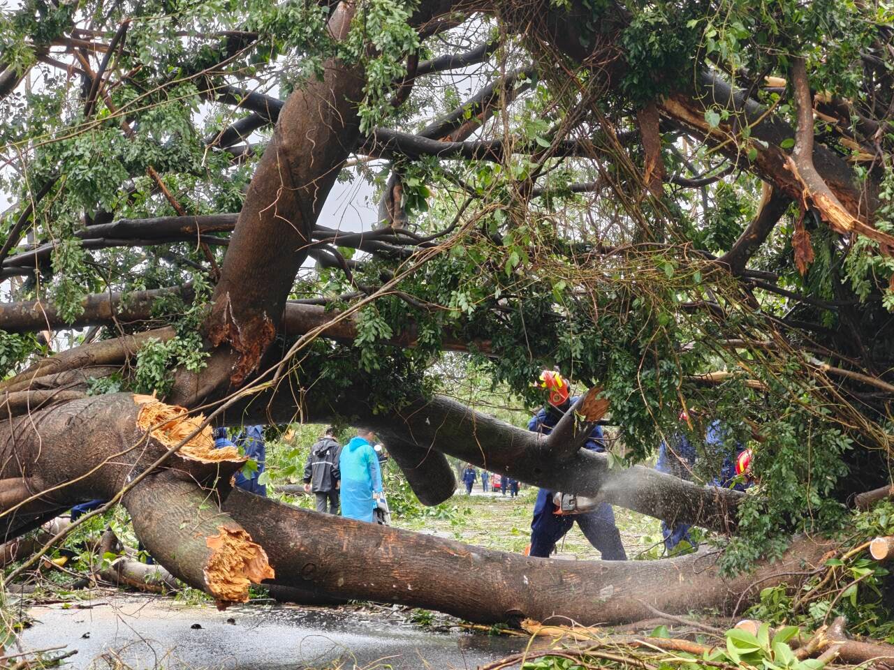 琼海消防驰援三亚全力开展道路清障作业