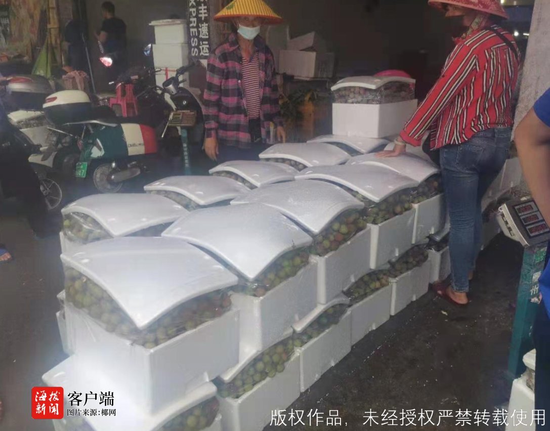 现代城市商业新引擎:文昌商贸公司的崛起