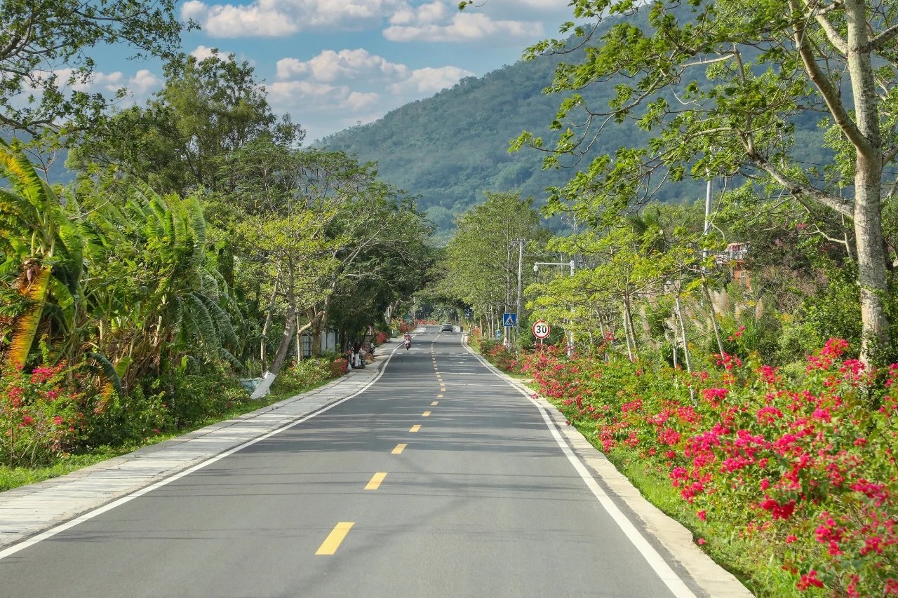 海南最美乡村公路图片