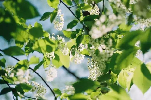 家不是讲理的地方…