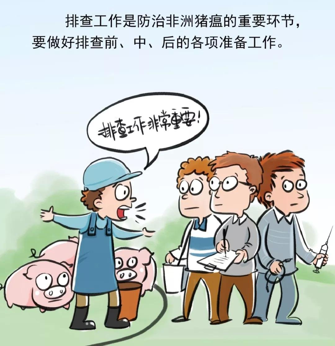 非洲猪瘟排查简明手册