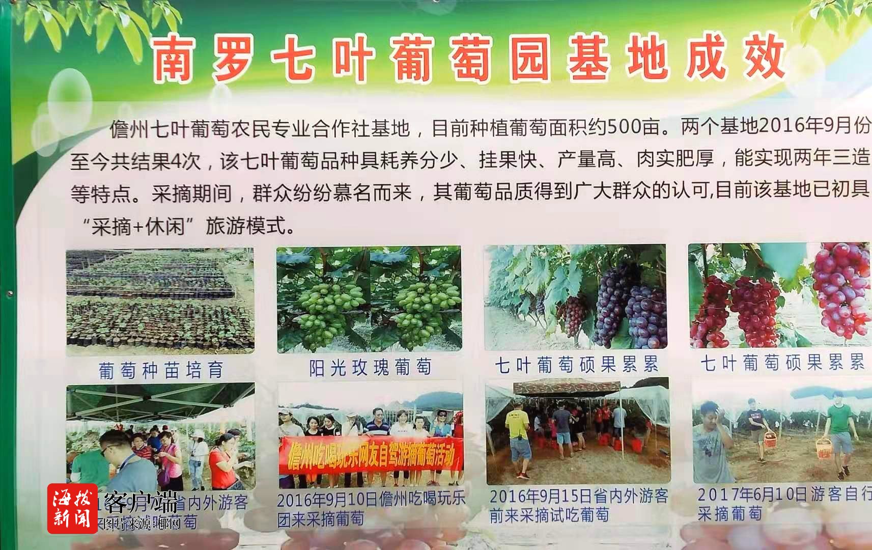 罗村招聘_南海区人民政府门户网站