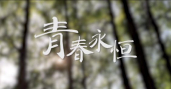 永恒的青春回忆