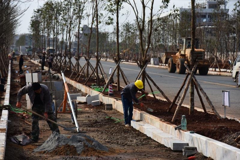 海口综合保税区gdp_海口综合保税区国际商品直营中心火爆招商,诚邀您的加入(3)