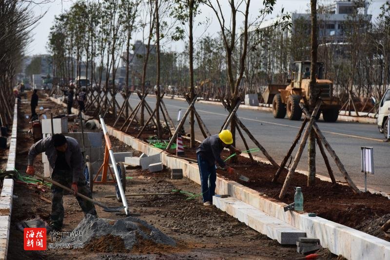 海口综合保税区gdp_海口综合保税区国际商品直营中心火爆招商,诚邀您的加入(3)