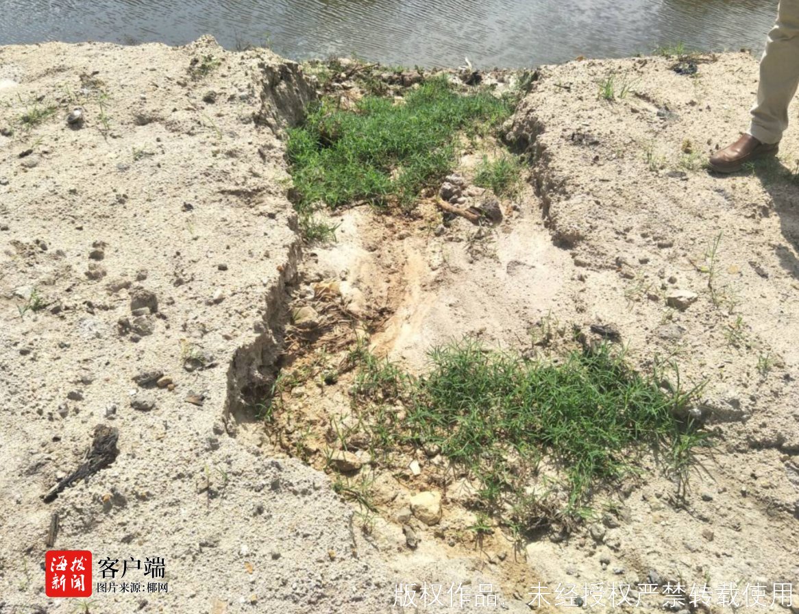 田桥村人口_人口普查(3)